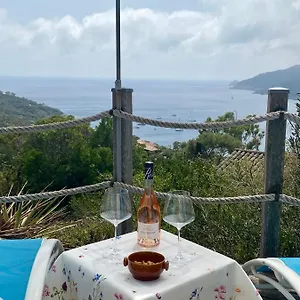 Les Oreades, Studio Le Marin Avec Vue Mer Imprenable Appartement